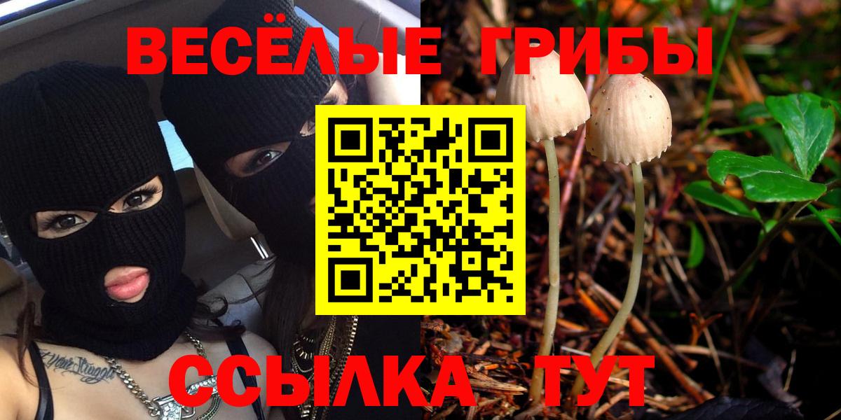 Верхняя Пышма  купить наркотики цена  Вход с VPN  Псилоцибиновые грибы прущие грибы 